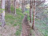 Col - Križna gora above Col